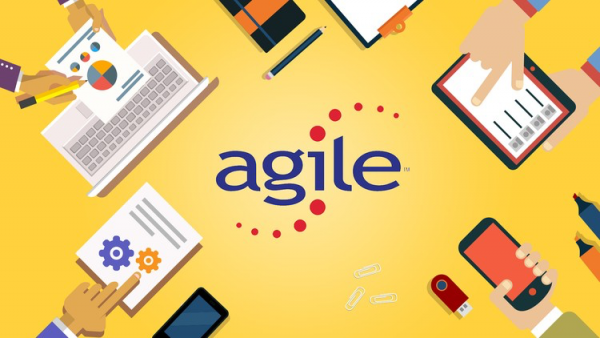 Become an Agile Project Manager – 17-Course Bundle