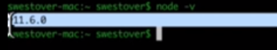 Terminal displaying node version number