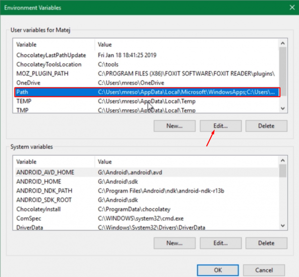 Path variable as seen in Windows environment variables