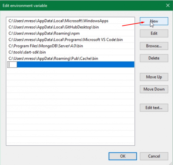 Edit screen for Windows Path environment variable
