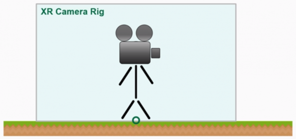 Figure representing the XR Camera rig