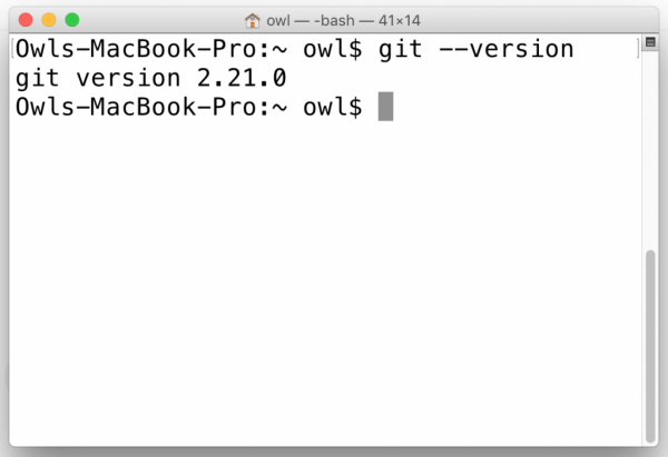 Terminal with git version command run