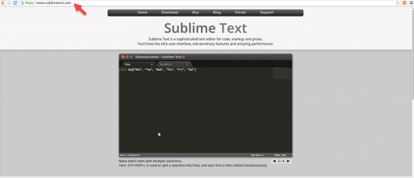 Sublime Text IDE website