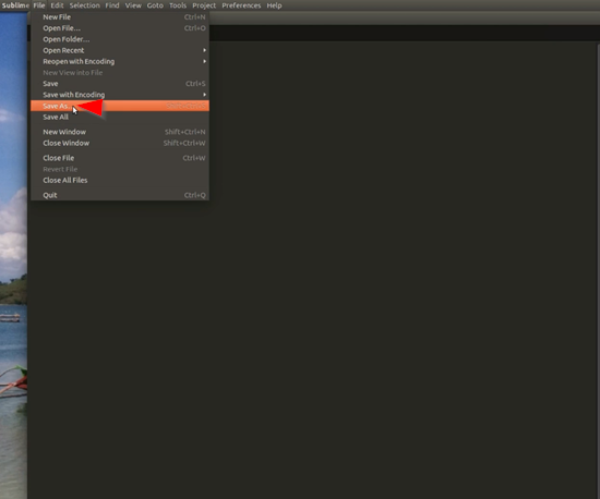 Sublime text editor File menu