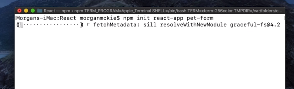 Mac Terminal showing React installation