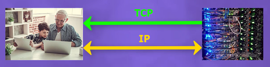 TCP and IP